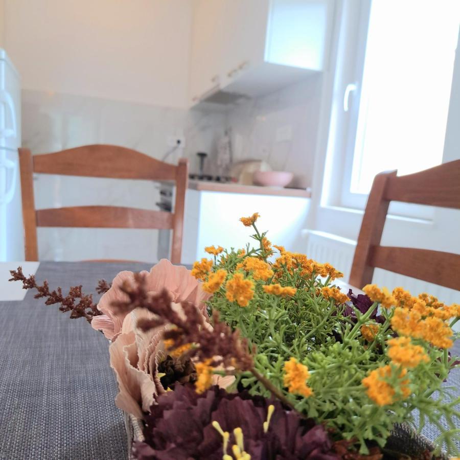 Open Sea Apartmani Grebaštica Dış mekan fotoğraf